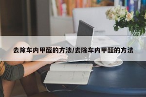 去除车内甲醛的方法/去除车内甲醛的方法