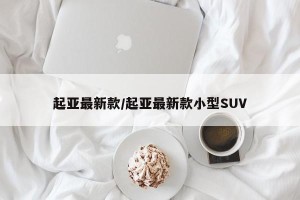 起亚最新款/起亚最新款小型SUV